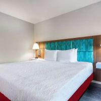 Hampton Inn East Aurora ico