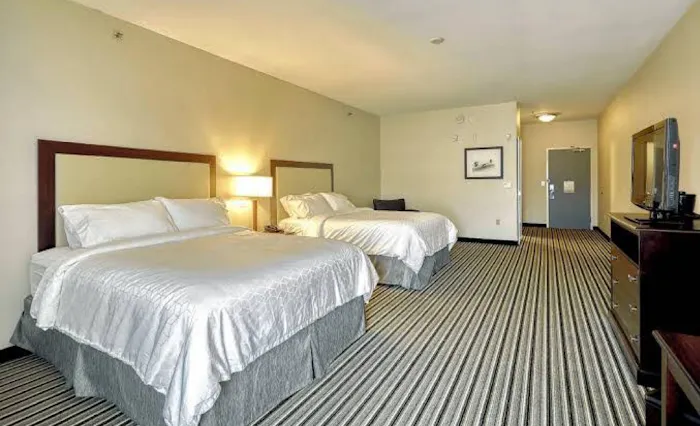 Holiday Inn Express & Suites Batavia - Darien Lake, an IHG Hotel 4