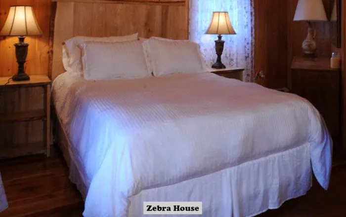 Private Hotel + Pure Food, Ithaca 4