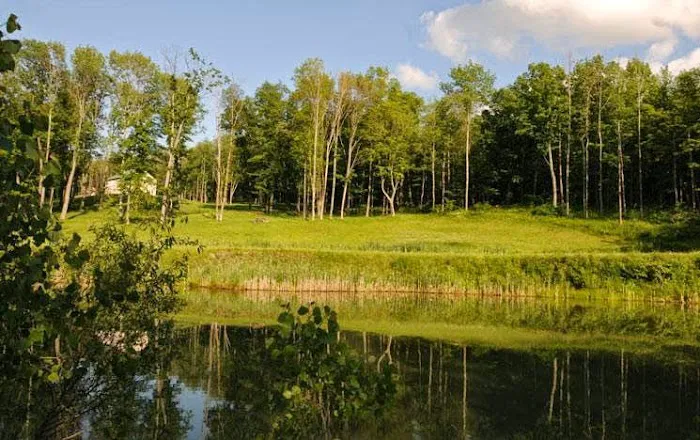Private Hotel + Pure Food, Ithaca 4