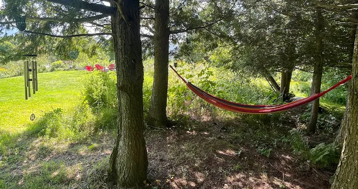 Wonderhill Vermont 4