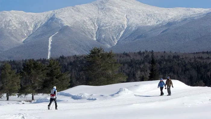 Omni Bretton Arms Inn at Mount Washington 5