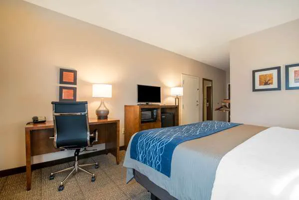 Comfort Inn 4