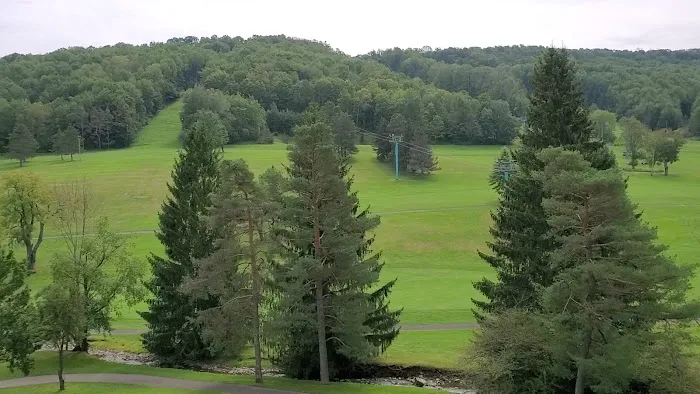 The Tamarack 4