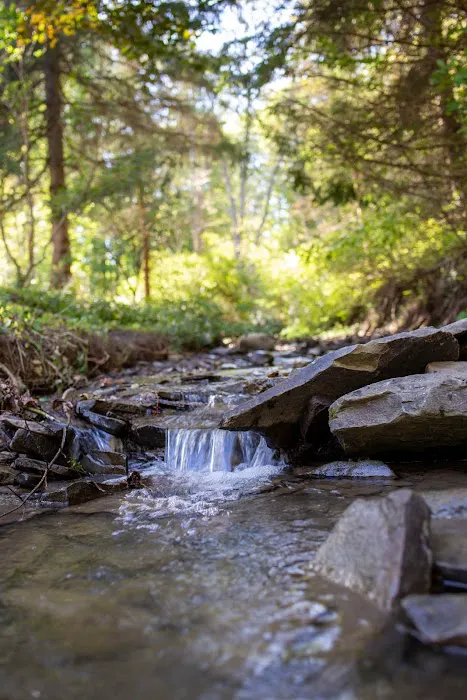 A Creekside Haven 4