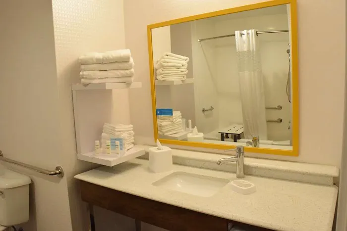 Hampton Inn Buffalo-Hamburg 4