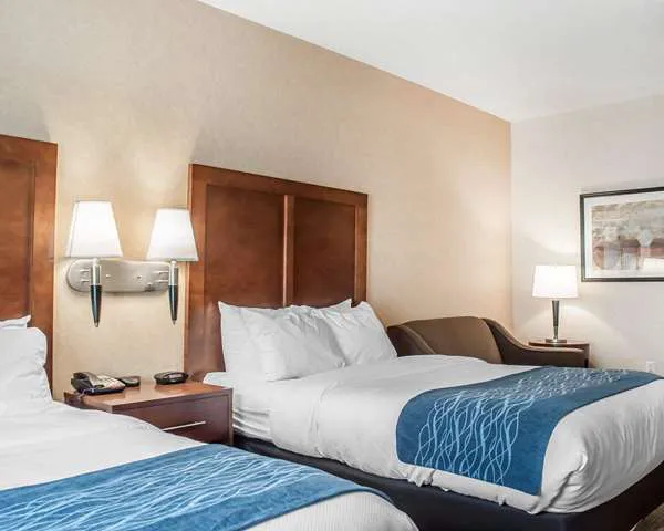 Comfort Inn & Suites 4