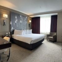 The Delavan Hotel ico