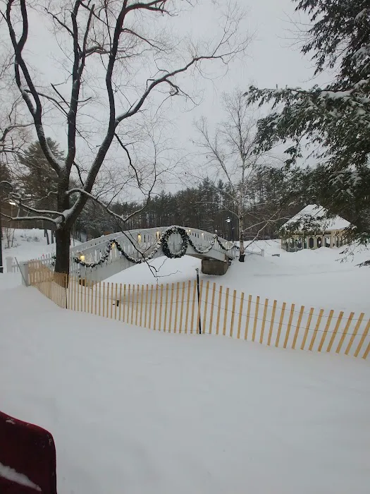 G58 Nordic Village Resort 5
