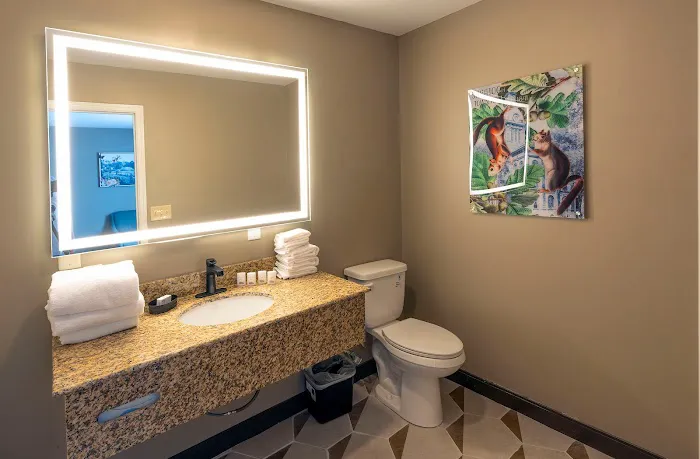 The Hotel Saratoga, Ascend Hotel Collection 4
