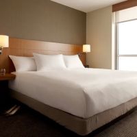 Hyatt Place Marlborough / Apex Center ico