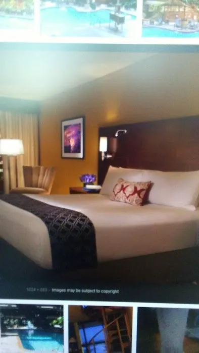 M Hotel Buffalo 4