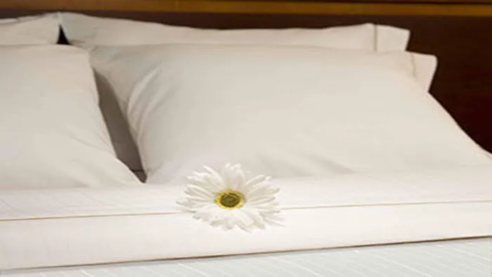 Holiday Inn Express & Suites Buffalo-Airport by IHG 4