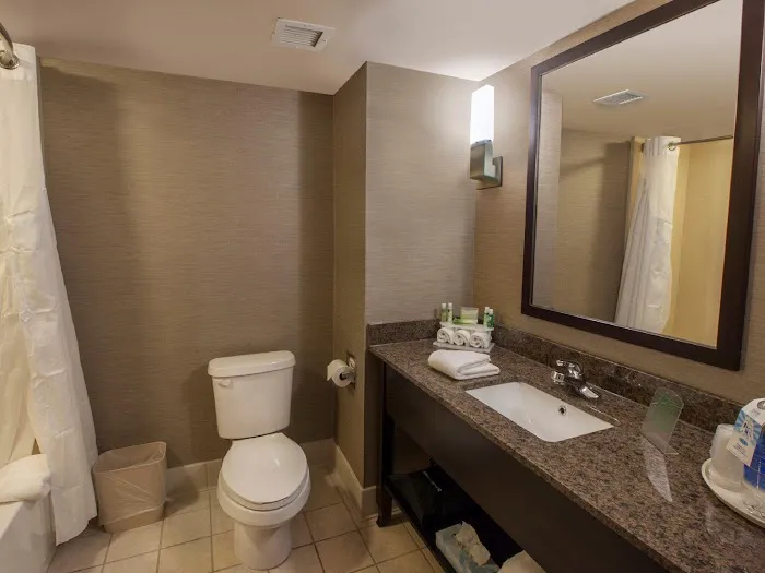 Holiday Inn Express & Suites Buffalo-Airport by IHG 4