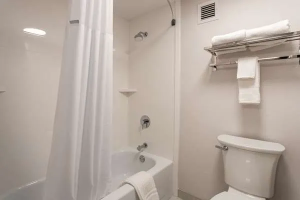 Comfort Inn & Suites Buffalo Airport 4