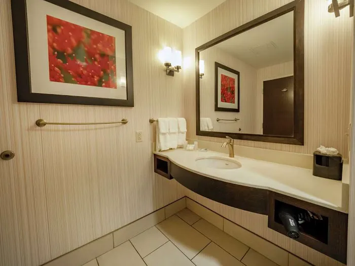 Hilton Garden Inn Buffalo Downtown 5