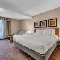 Buffalo Airport Hotel ico