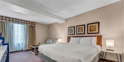 Buffalo Airport Hotel
