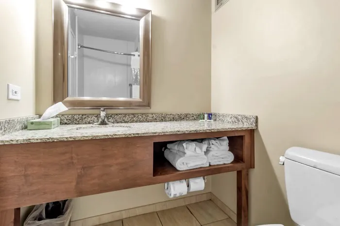 Buffalo Airport Hotel 4