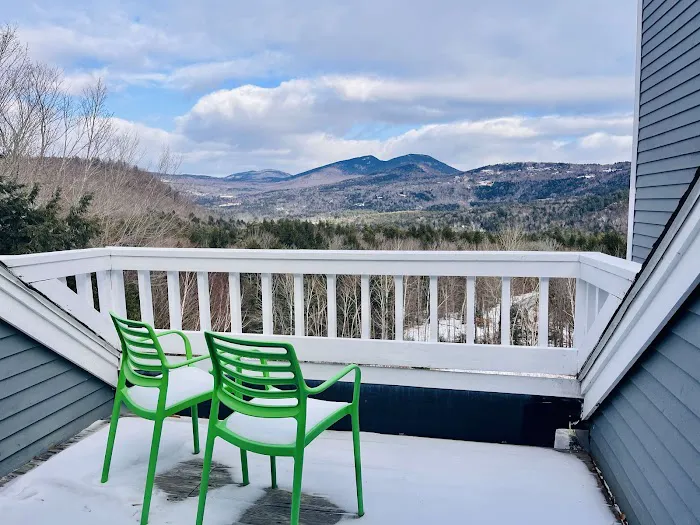 Nordic Village Resort 5
