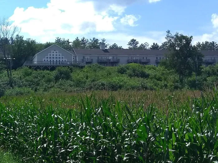 River View Resort 4