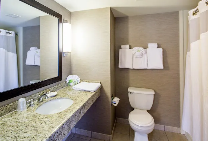 Holiday Inn Express & Suites Auburn by IHG 4