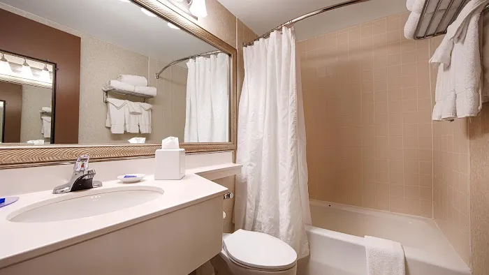 Best Western Plus Chelmsford Inn 4
