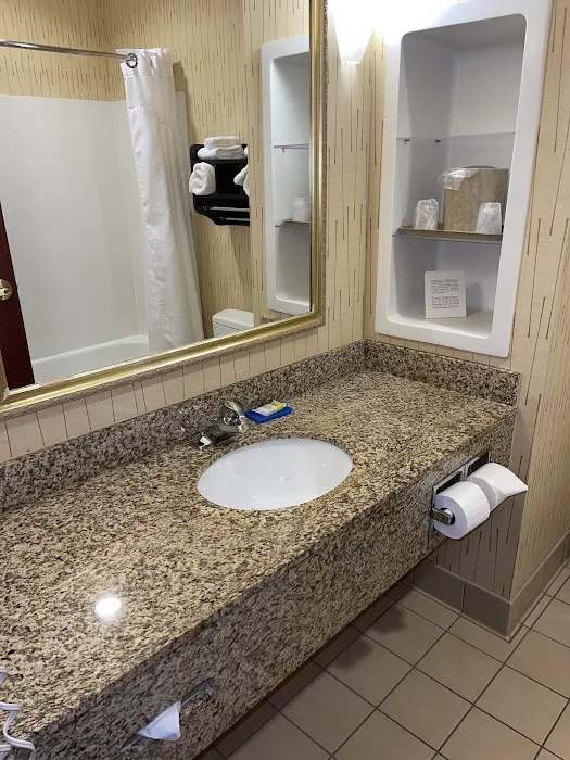 Holiday Inn Express & Suites Manchester-Airport by IHG 4
