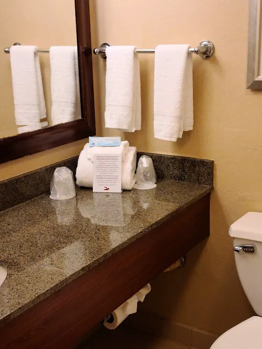 Buffalo Marriott Niagara 3