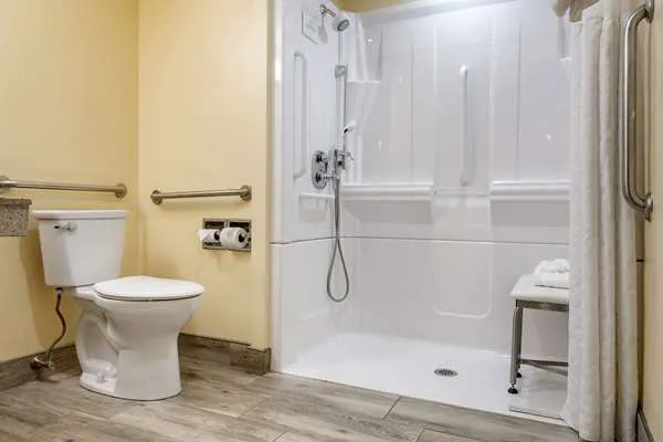 Comfort Inn University 3