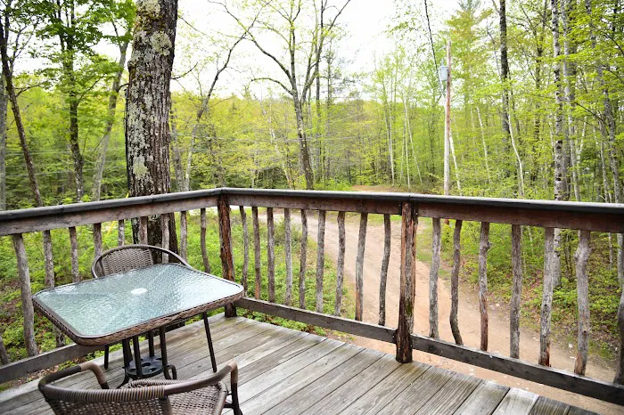 In The Trees - Maine Treehouse Rentals & Mountain Disc Golf 4