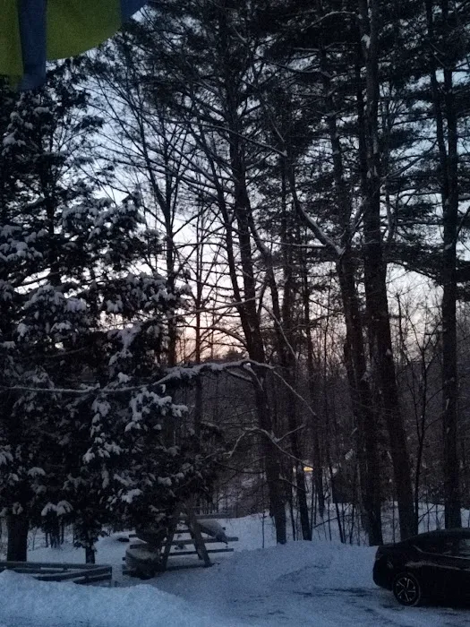Wedeln Pines, Vacation Chalet 5