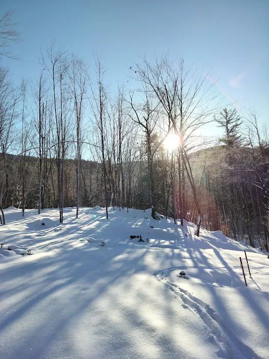 Wedeln Pines, Vacation Chalet 5