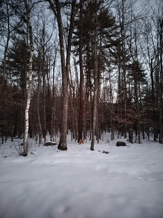 Wedeln Pines, Vacation Chalet 5