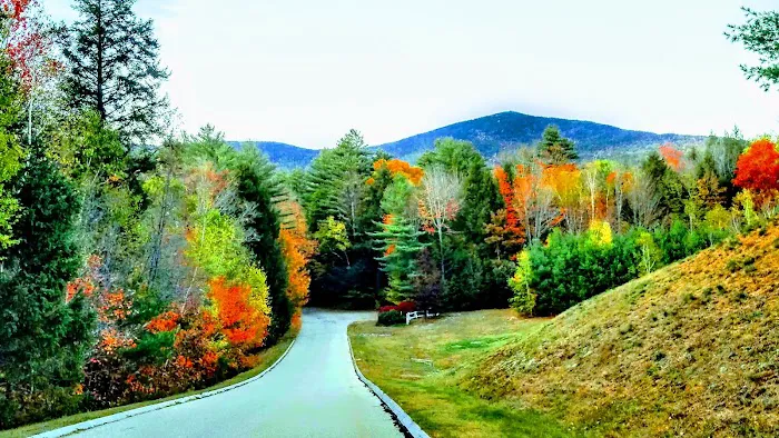 Mountain View Resort 5