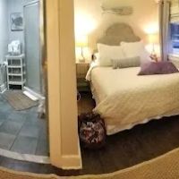 The Nest on Saratoga Lake ico