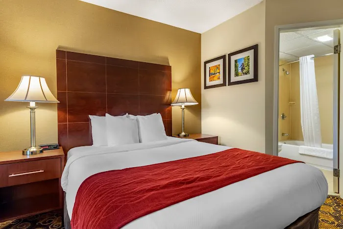 Comfort Inn Rockland - Boston 4