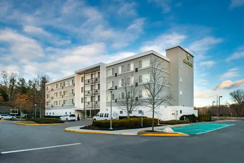 Element Lexington 4