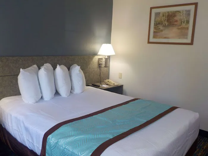 MJ Inn & Suites Marienville 4