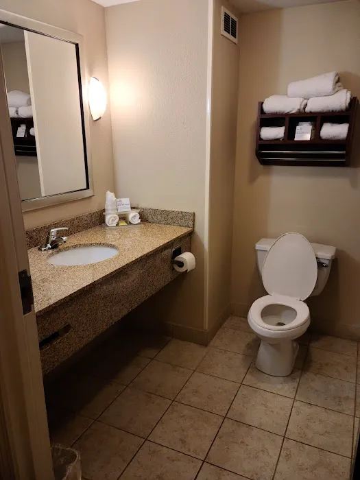 Holiday Inn Express & Suites Niagara Falls, an IHG Hotel 4
