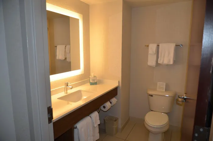 Holiday Inn Express & Suites Rochester by IHG 4