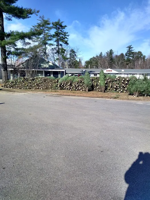 Paris Inn Motel 5