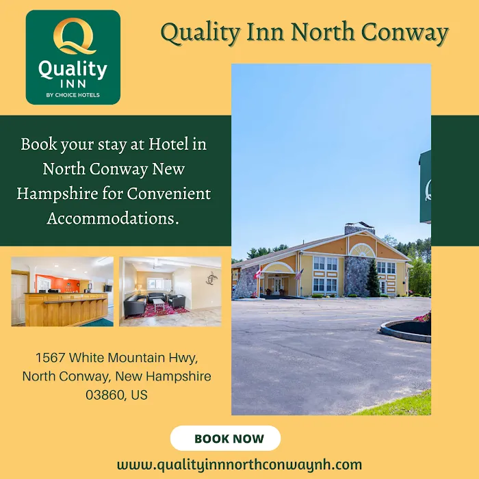 Quality Inn 5