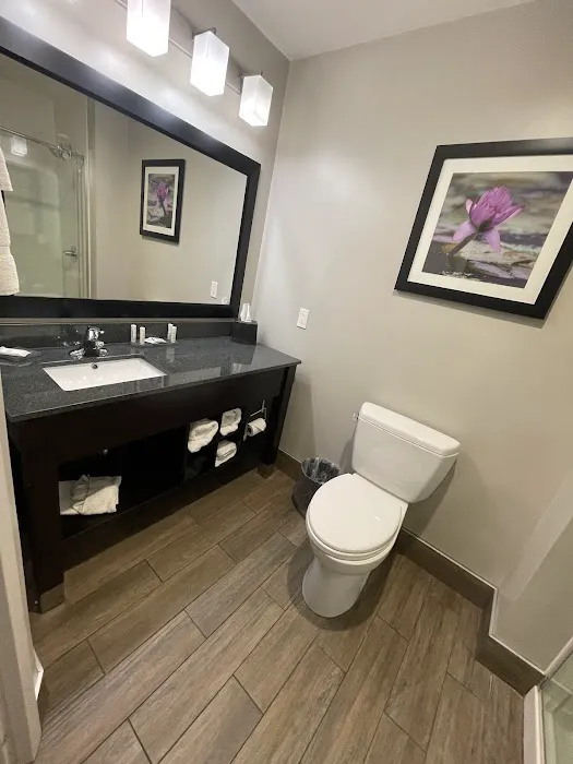 La Quinta Inn & Suites by Wyndham Clifton Park/Saratoga Area 3