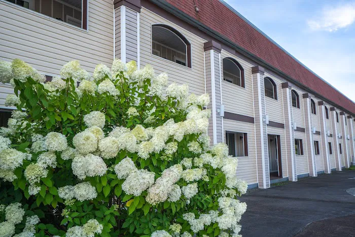 All Seasons Inn & Suites 5