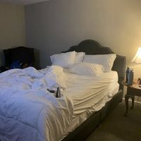The Grafton Inn ico
