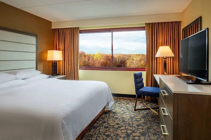 Embassy Suites by Hilton Boston Waltham 5