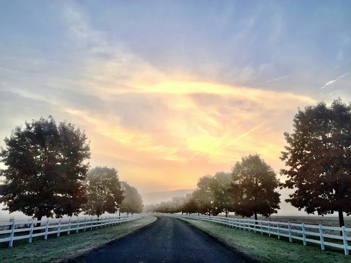 Oak Alley Farms 4