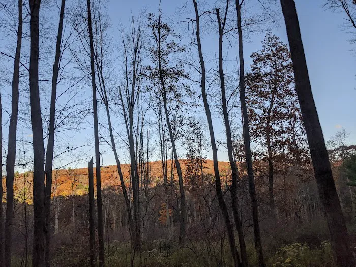 Clear Creek Vacation Land 4