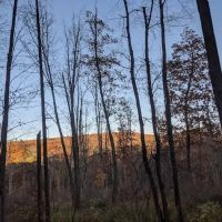 Clear Creek Vacation Land ico